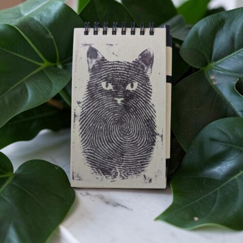 Block notes Gatto